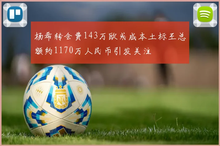 杨希转会费143万欧或成本土标王总额约1170万人民币引发关注