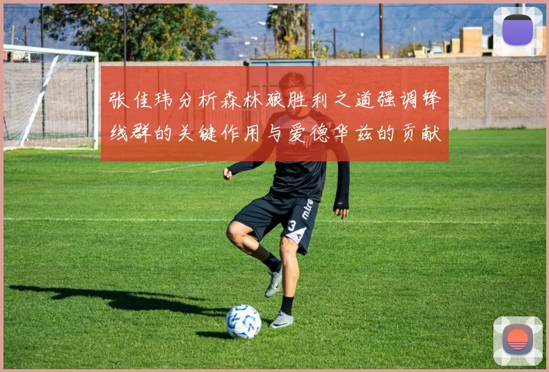 张佳玮分析森林狼胜利之道强调锋线群的关键作用与爱德华兹的贡献