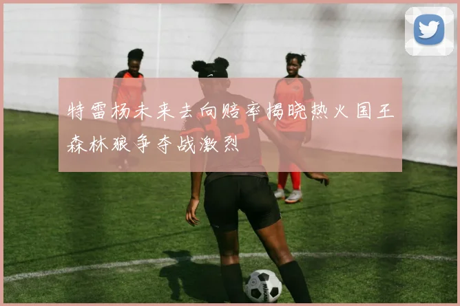 特雷杨未来去向赔率揭晓热火国王森林狼争夺战激烈