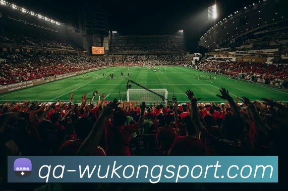 悟空体育APP 封面图